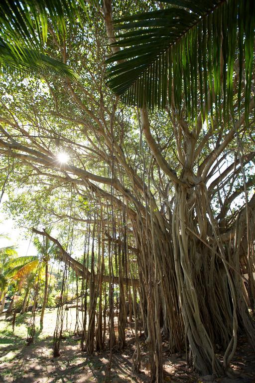 Lux* Grand Gaube Resort & Villas Екстер'єр фото Banyan tree